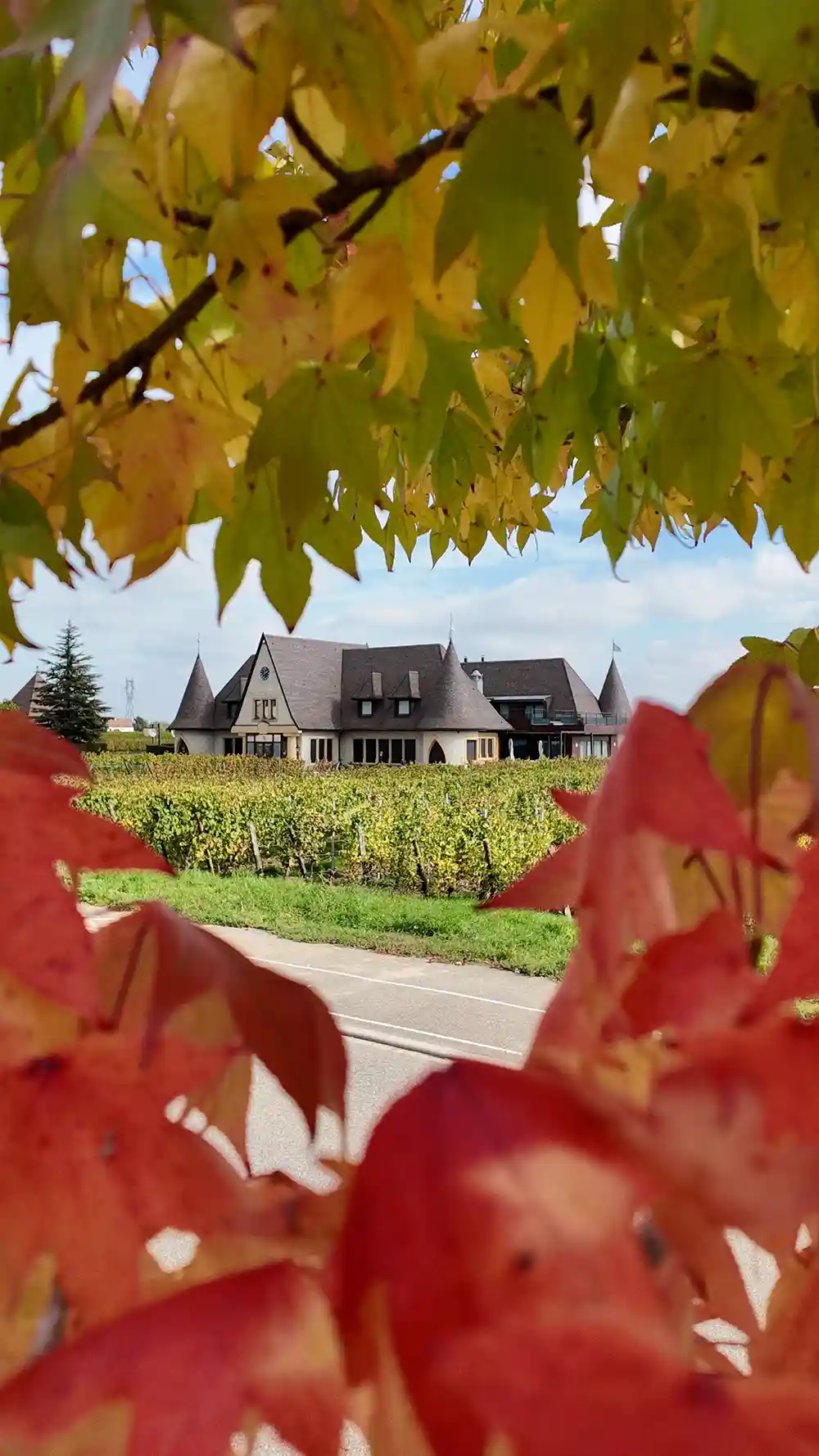 Bon cadeau valeur 150 €