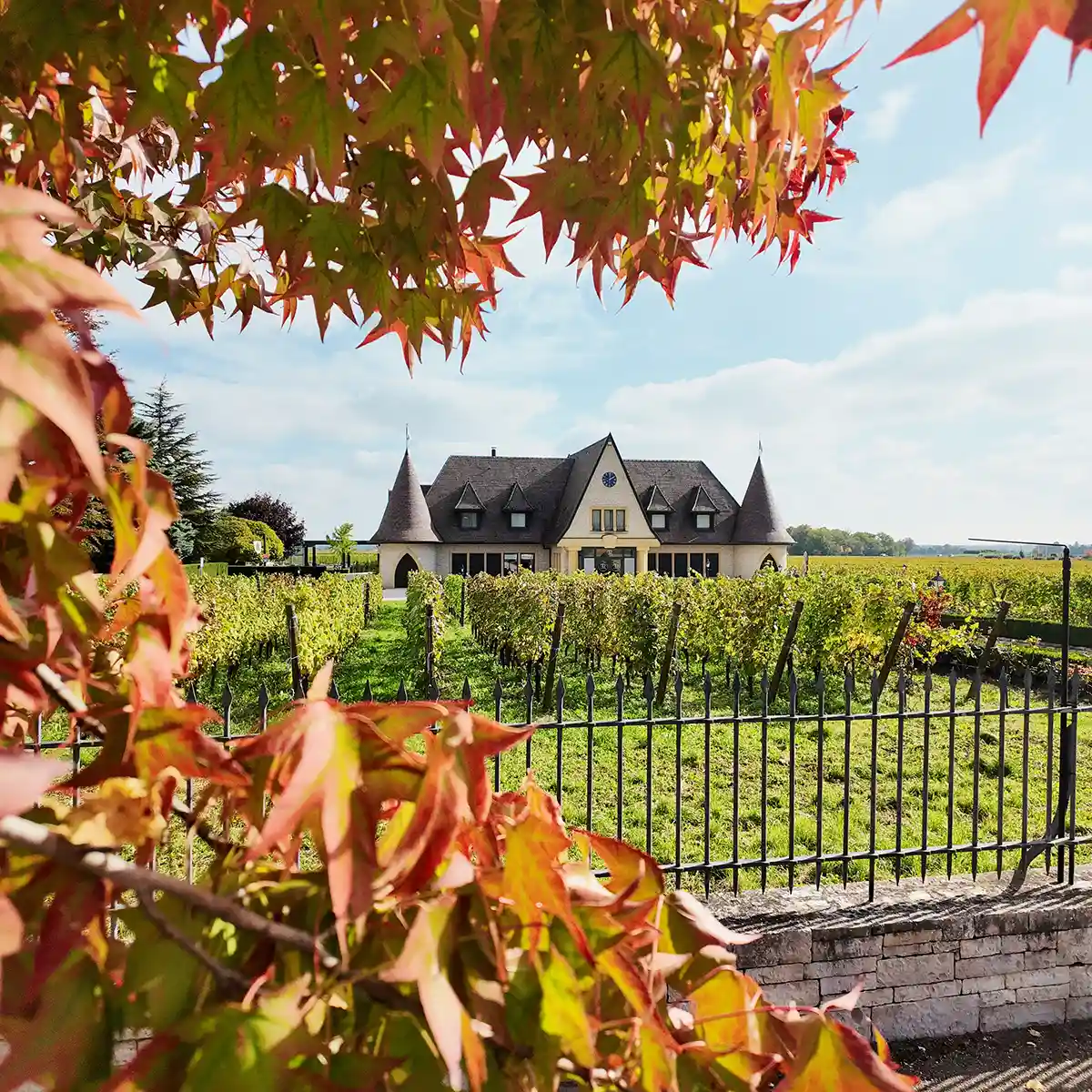 Bon cadeau valeur 200 €